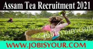 Assam Tea Recruitment 2021 | Apply Online Junior Assistant Posts before Last Date
